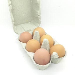 Boite de 6 oeufs BIO