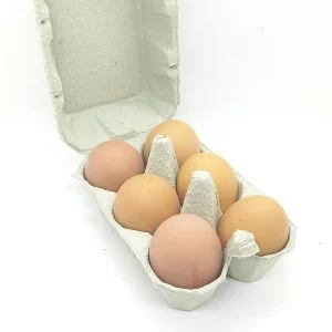 Boite de 6 oeufs BIO