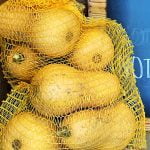 Butternut - filet de 5 kg
