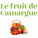 Texte indicatif