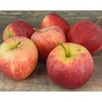 Pommes Cripps Pink