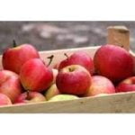 Pommes Cripps Pink Caisse de 12kg