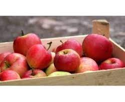 Pommes Cripps Pink Caisse de 12kg
